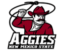 NEW MEXICO STATE